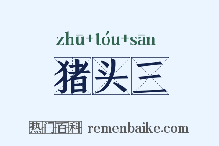 猪头三是什么意思的图片